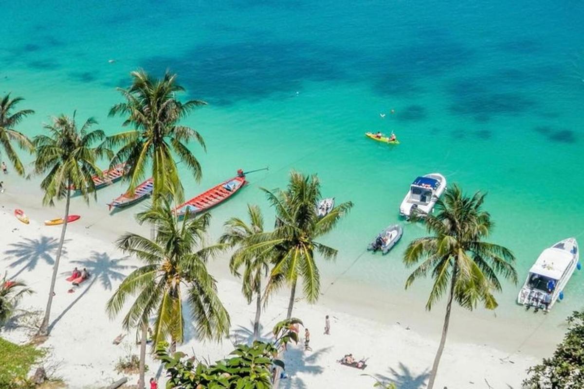 một bãi biển với những cây cọ và thuyền trên mặt nước
