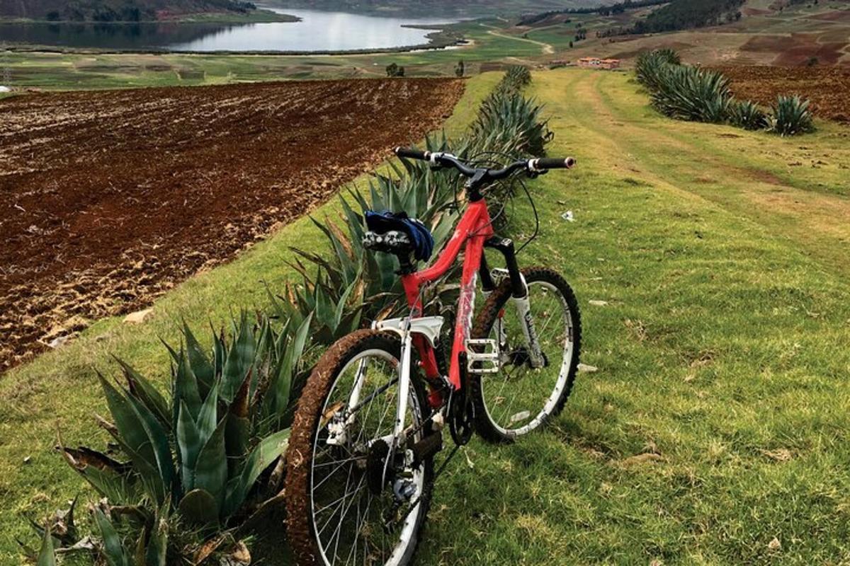 a bike parked on the side of a field