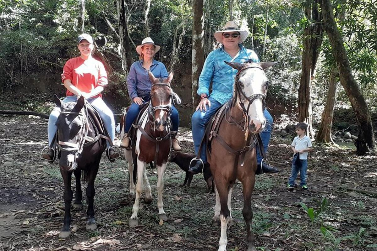 un grup de oameni călare pe cai în pădure
