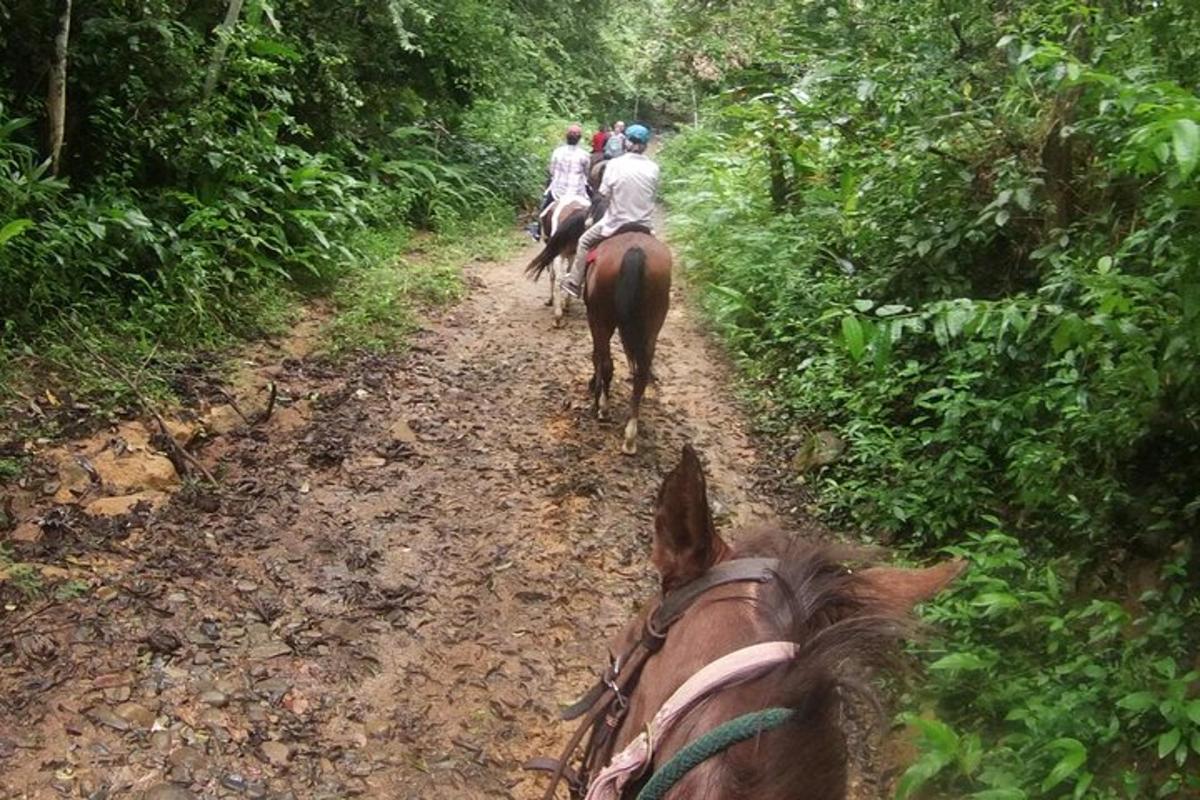 un grup de oameni călare pe cai pe un drum de pământ