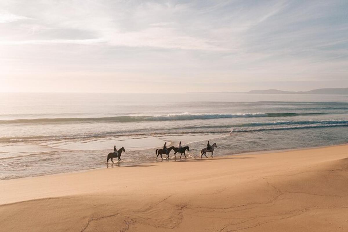 un grupo de personas montando a caballo en la playa