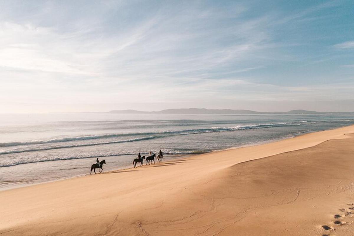 un grupo de personas montando a caballo en la playa