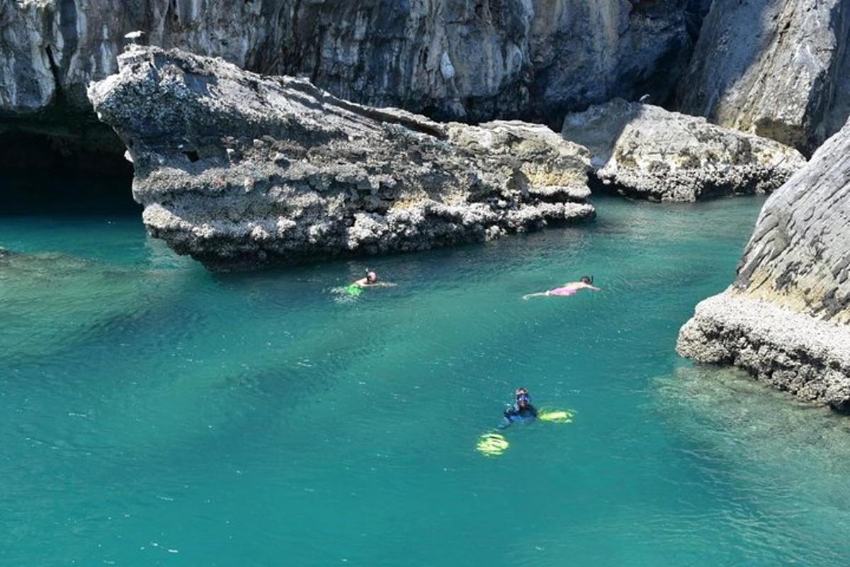 a group of people swimming in a river with rocks