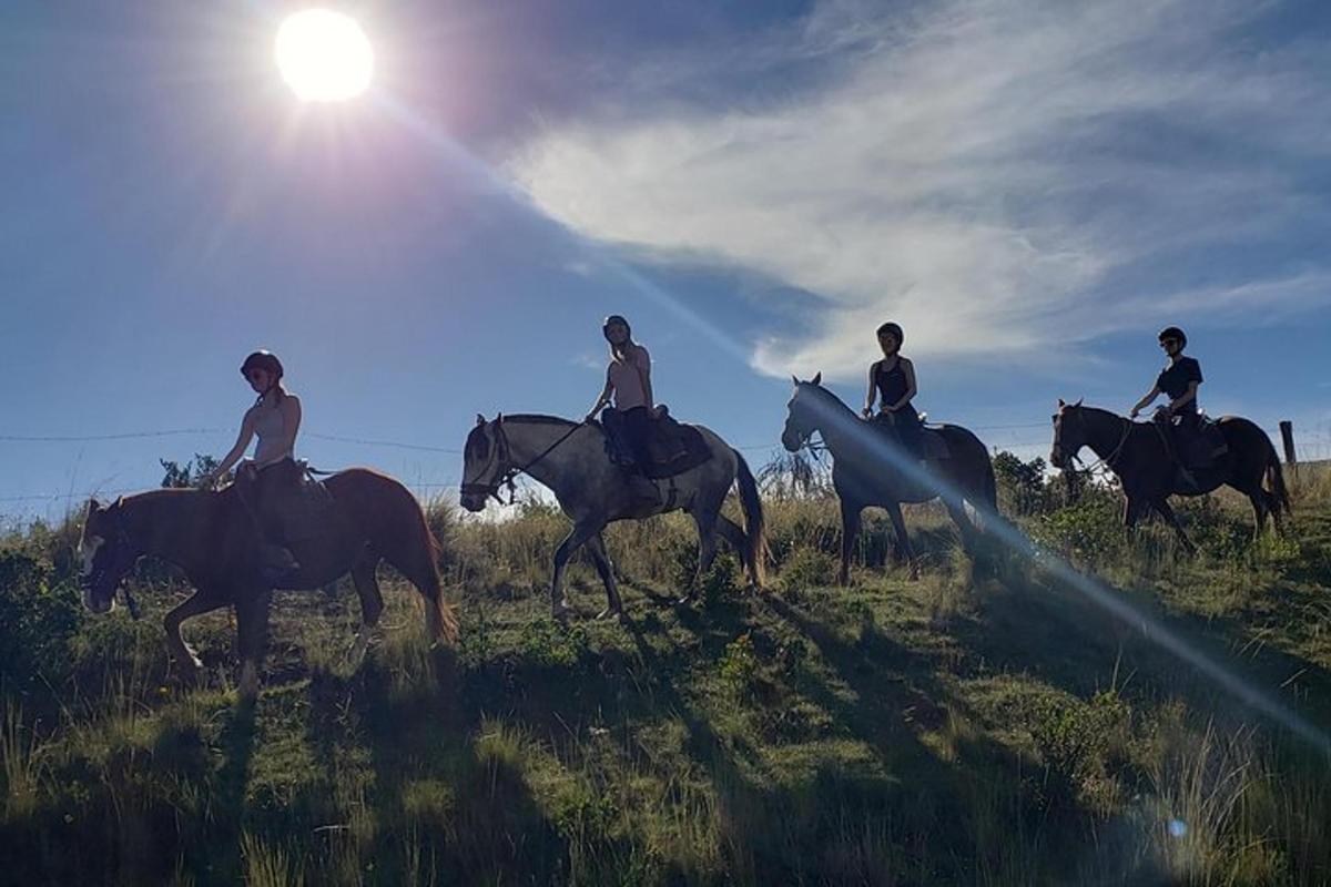en gruppe mennesker, der rider på heste i en mark
