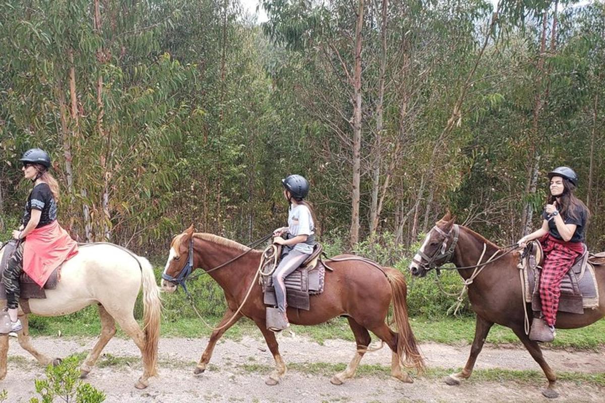 trije ljudje jahajo konje po makadamski cesti