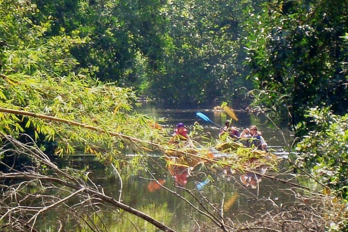 sekumpulan orang sedang berkanu menyusuri sungai