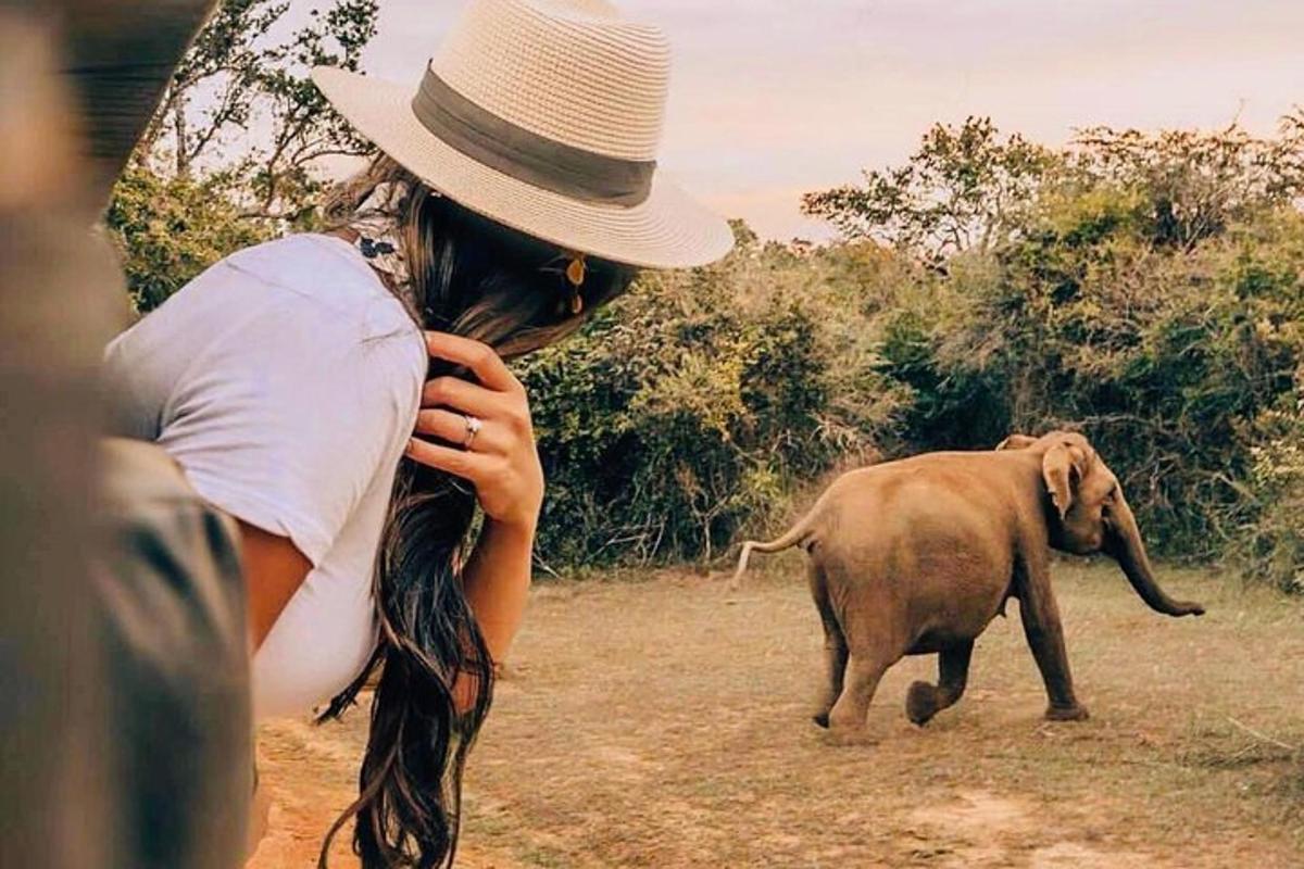seorang wanita bertopi melihat anak gajah