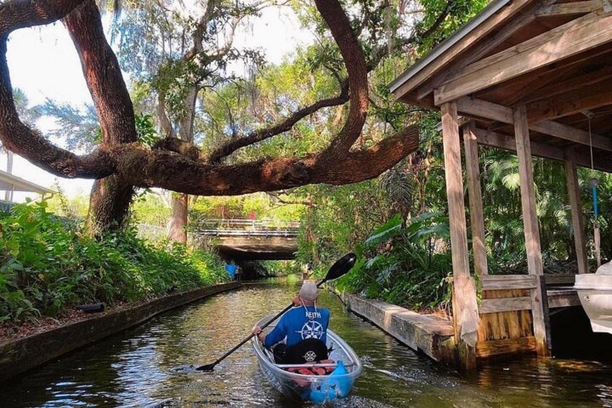 uma pessoa em uma canoa em um rio com uma árvore