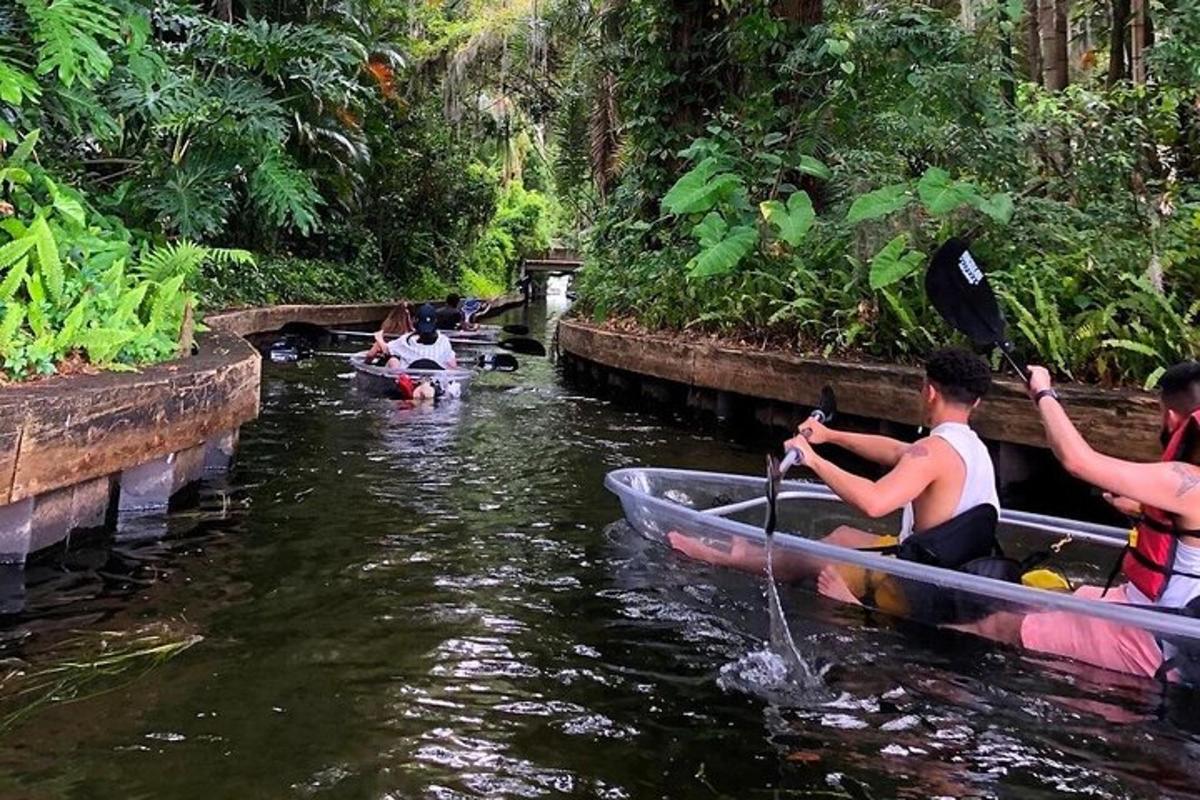 un gruppo di persone che scendono in canoa lungo un fiume
