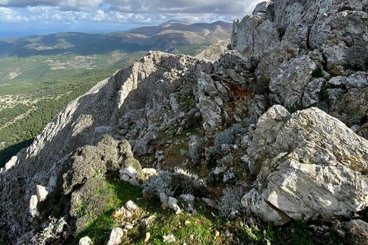 pohled na horu s kameny a vegetací