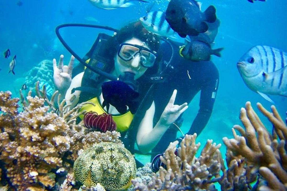 žena v oceánu s rybami ve vodě