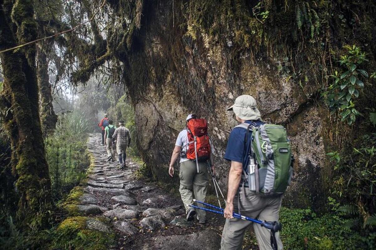 sekumpulan orang berjalan di atas denai gunung