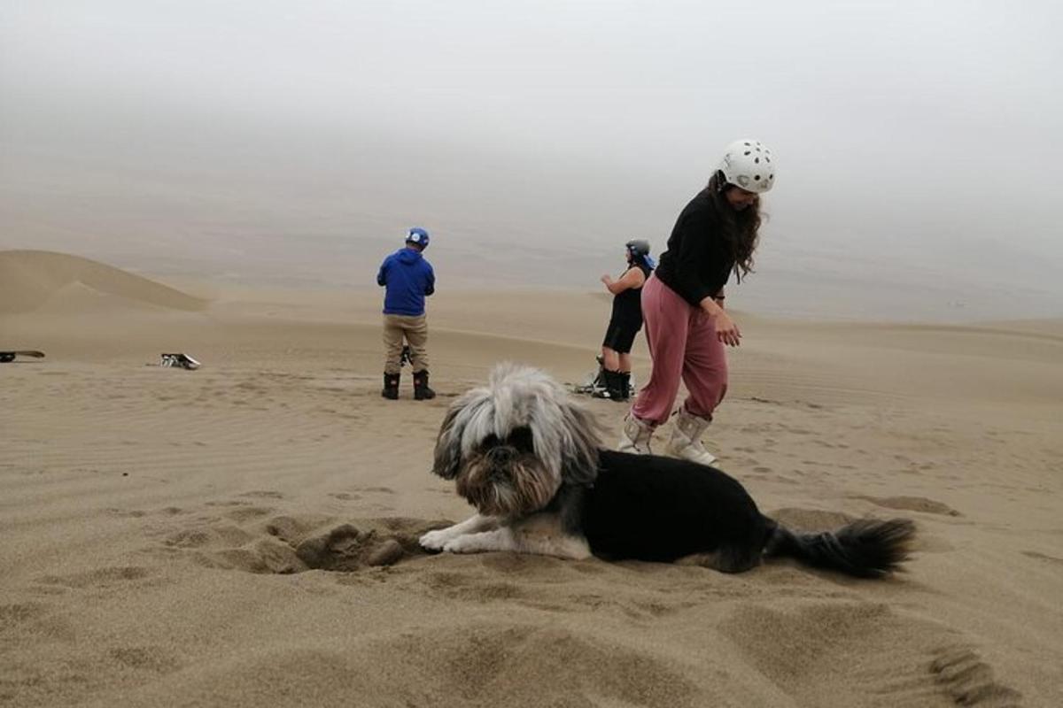 un cane sdraiato sulla sabbia della spiaggia