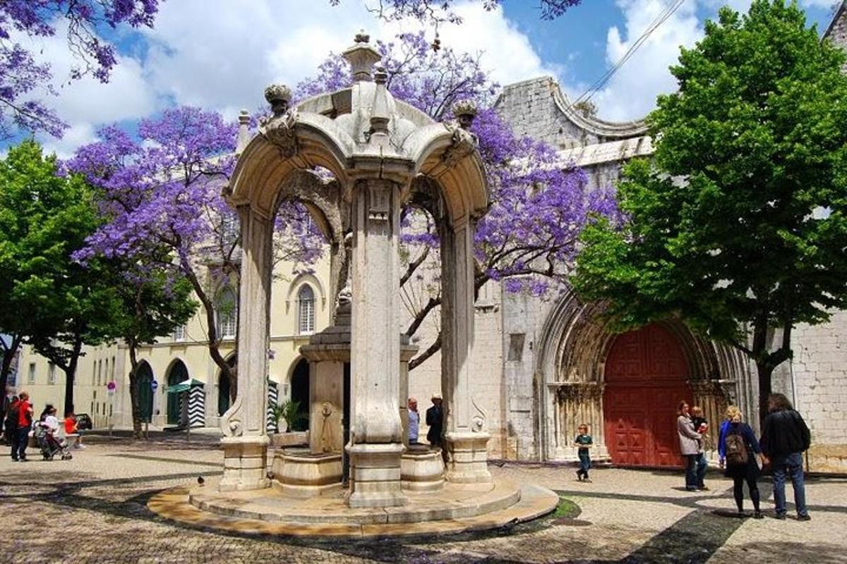 uma fonte em frente a um prédio com árvores roxas