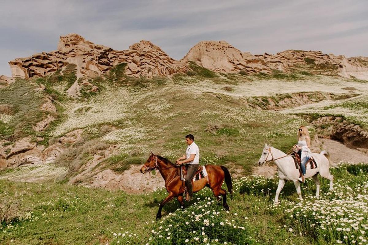 two people riding horses in a field with flowers