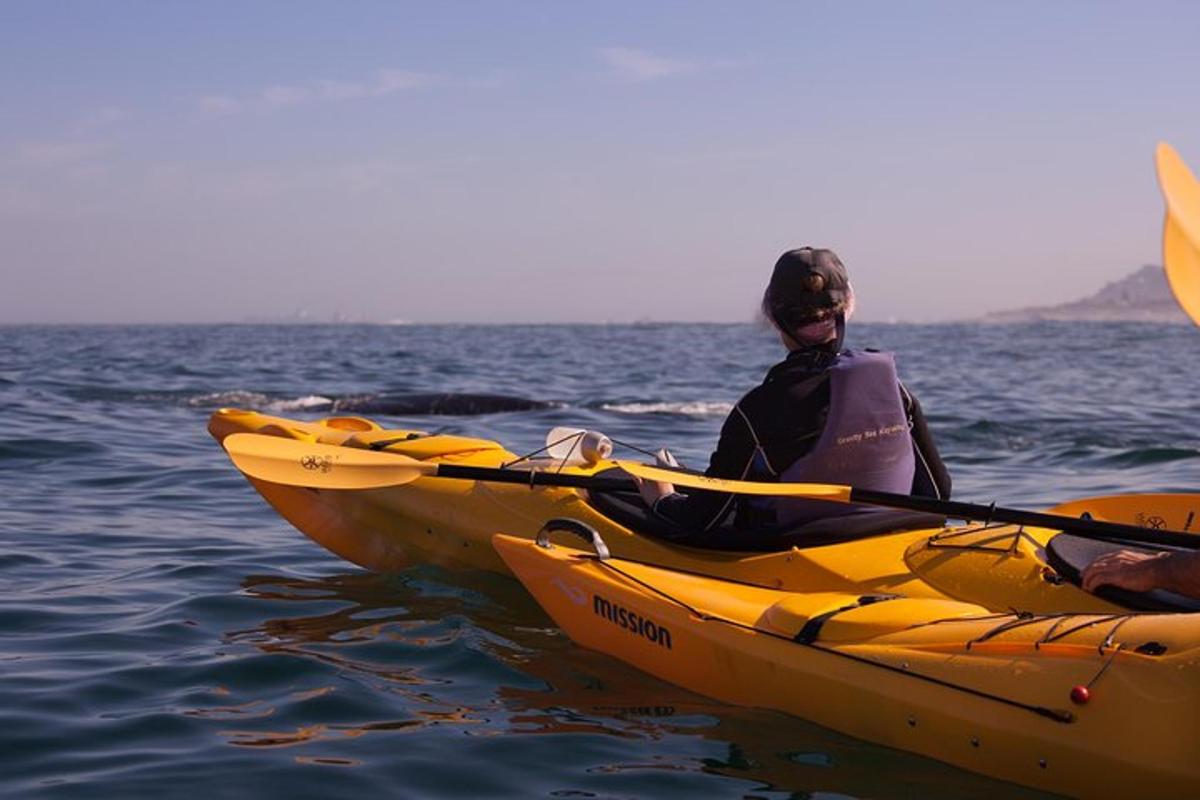 a person in a kayak in the water