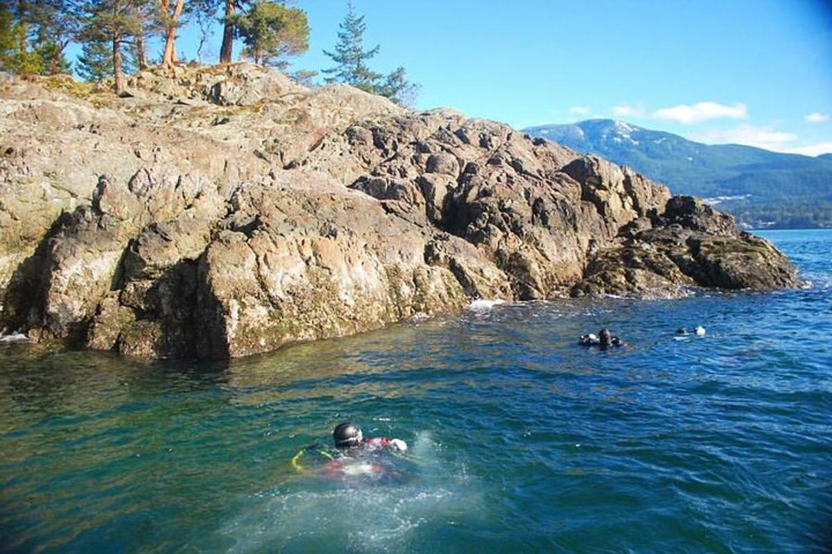 due persone che nuotano in uno specchio d'acqua