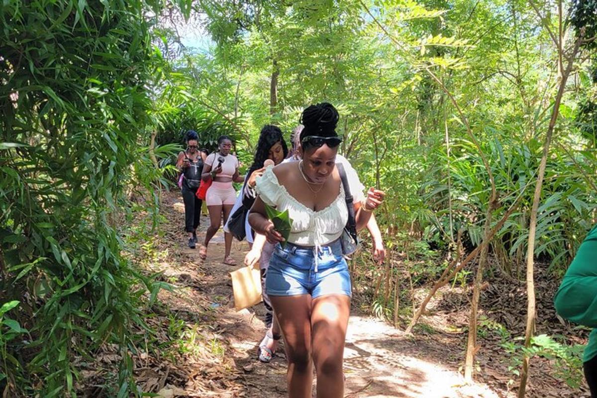 um grupo de pessoas caminhando por uma trilha na floresta