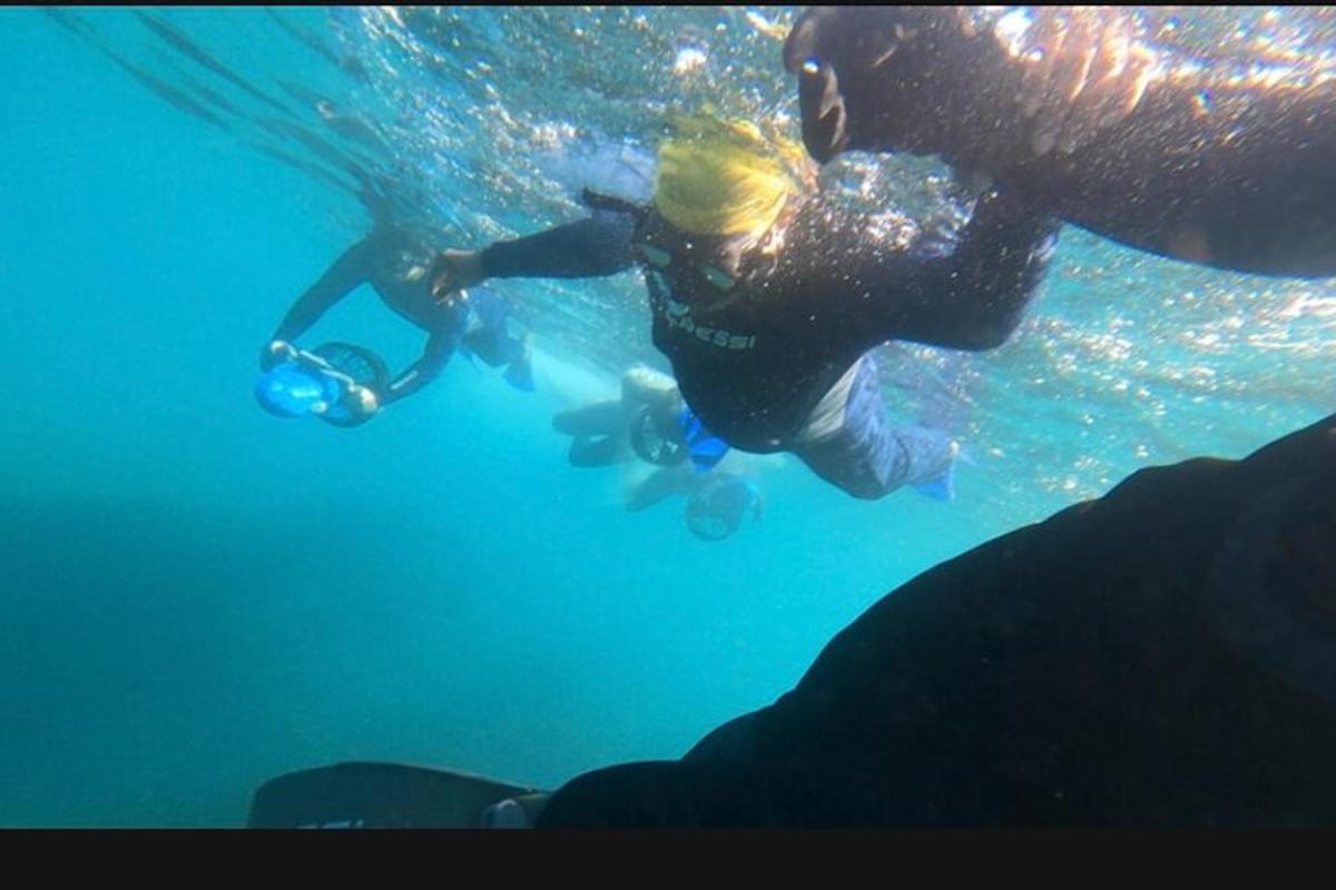 osoba plavající ve vodě v oceánu