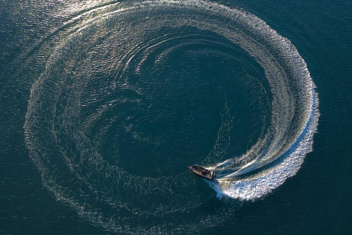 kit u oceanu s krugom u vodi