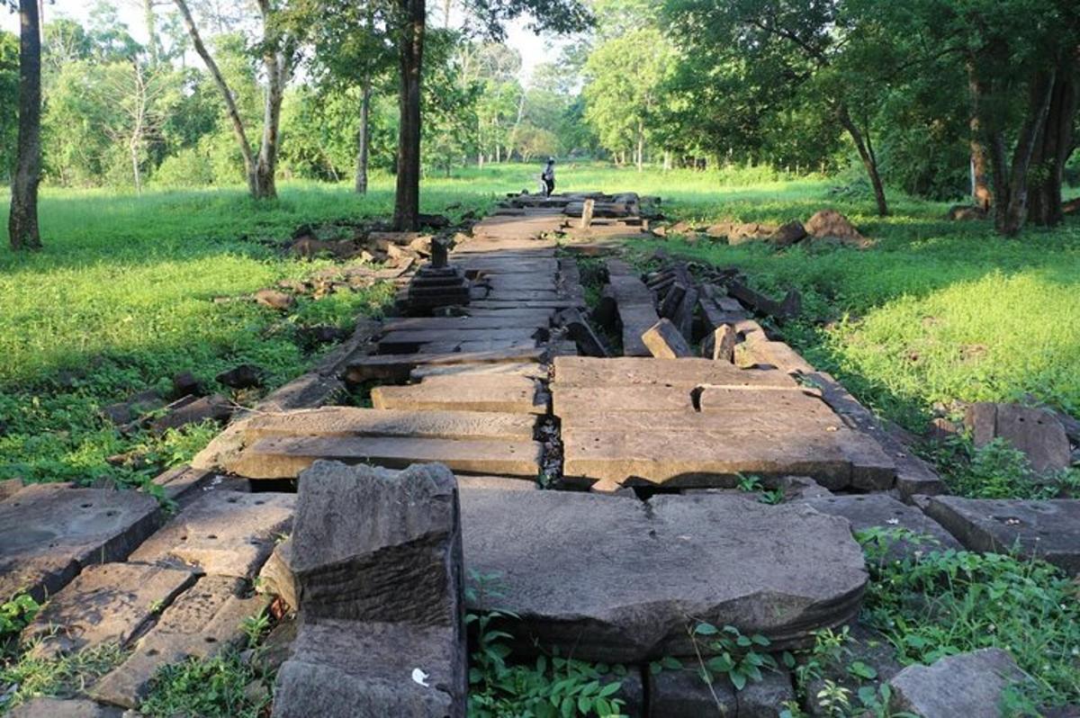 laluan batu di taman dengan pokok dan rumput