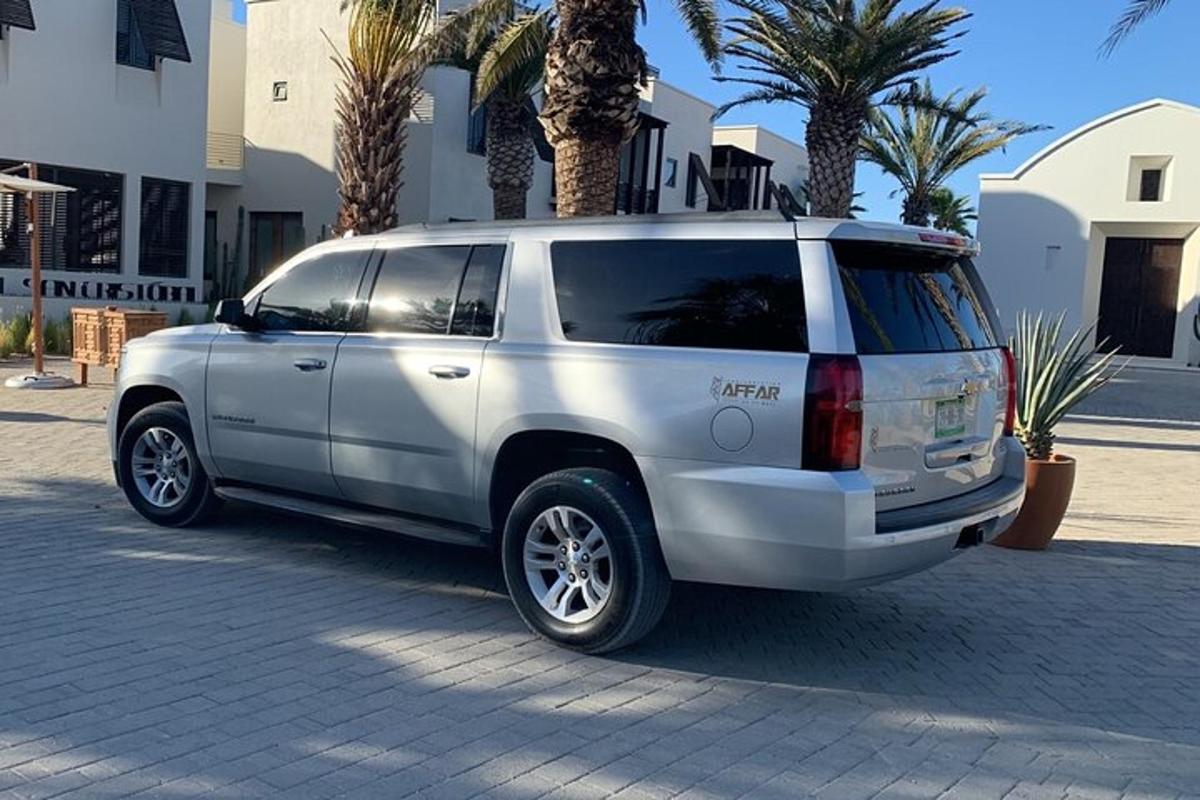 un SUV argentato parcheggiato in una strada con palme