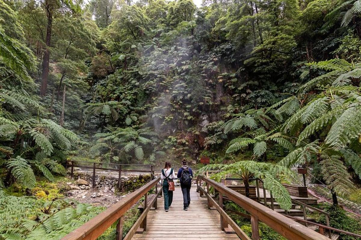 due persone che camminano lungo un ponte di legno in una foresta