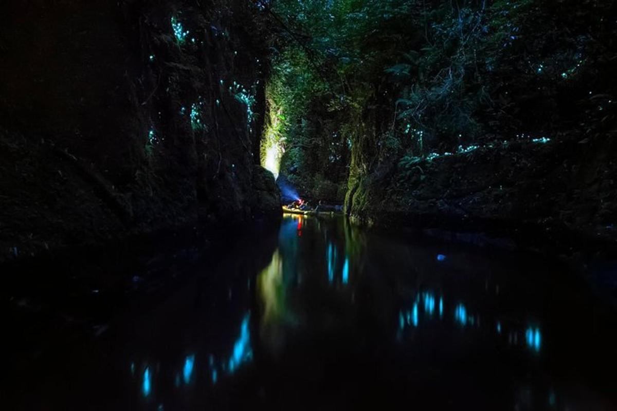 a small river in a cave at night