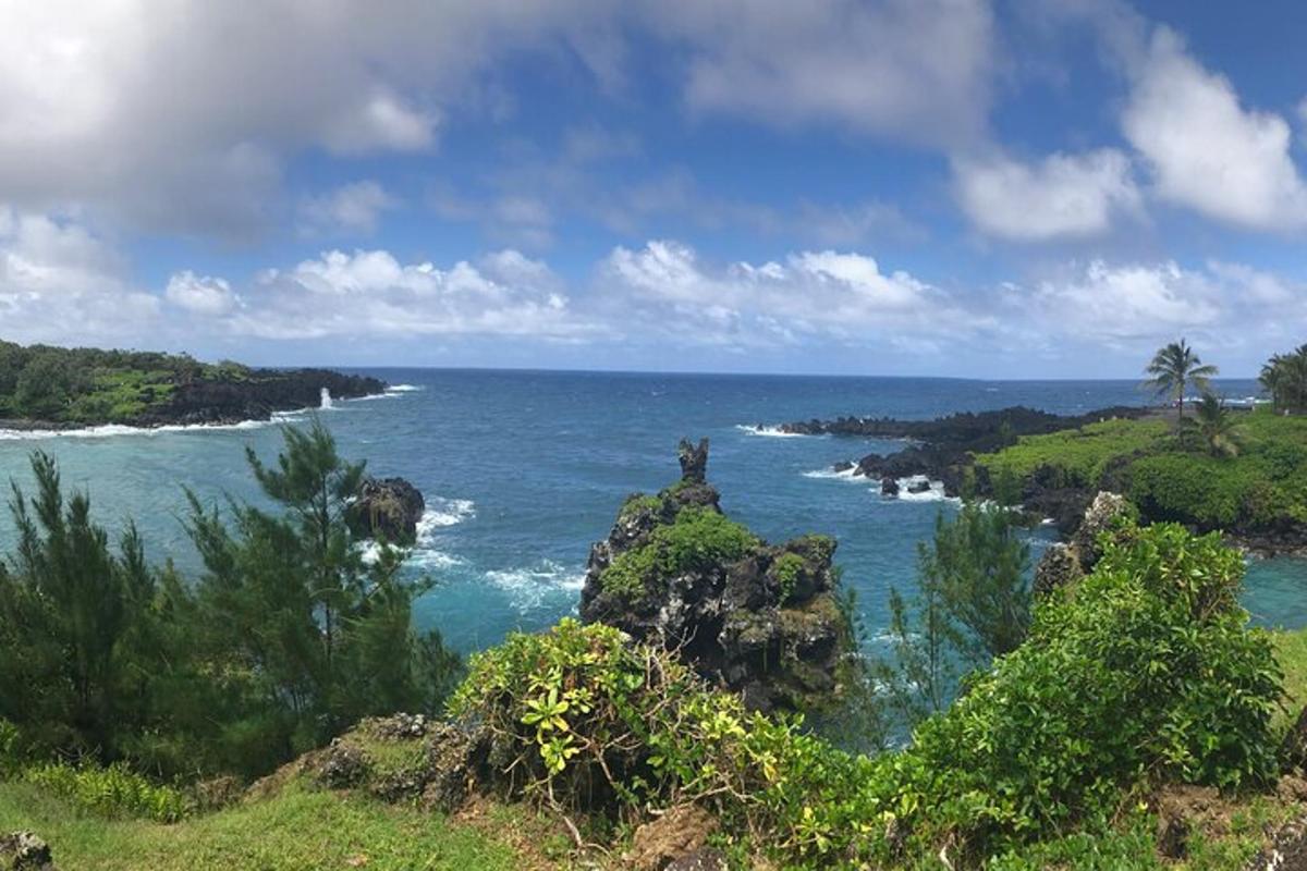 ein Blick auf das Meer mit Felsen und Bäumen