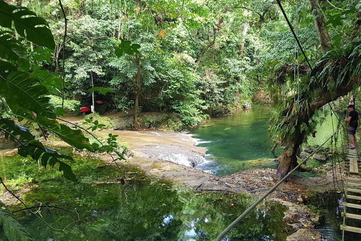 a river in the middle of a forest