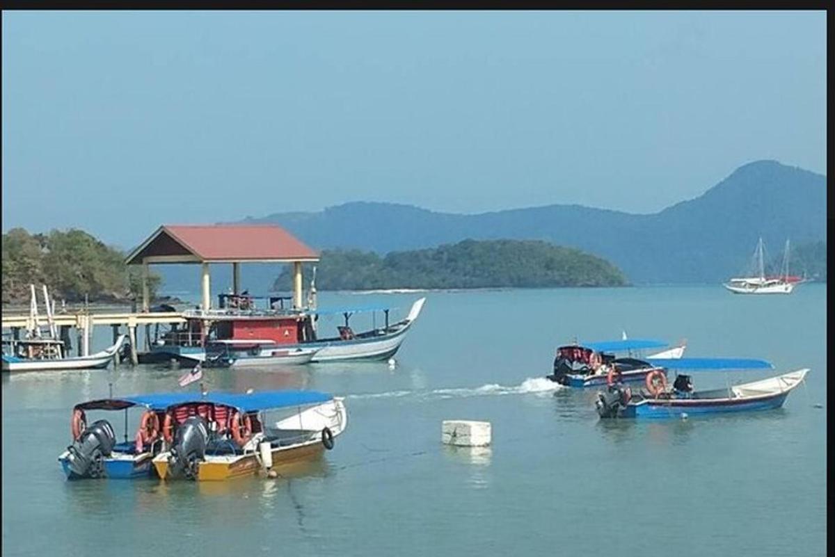 un grupo de barcos en un cuerpo de agua