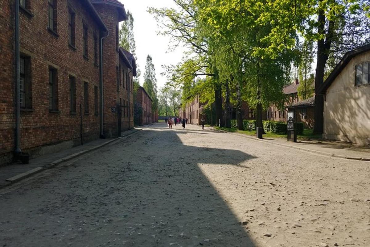 Zdjęcie numer 2 atrakcji
