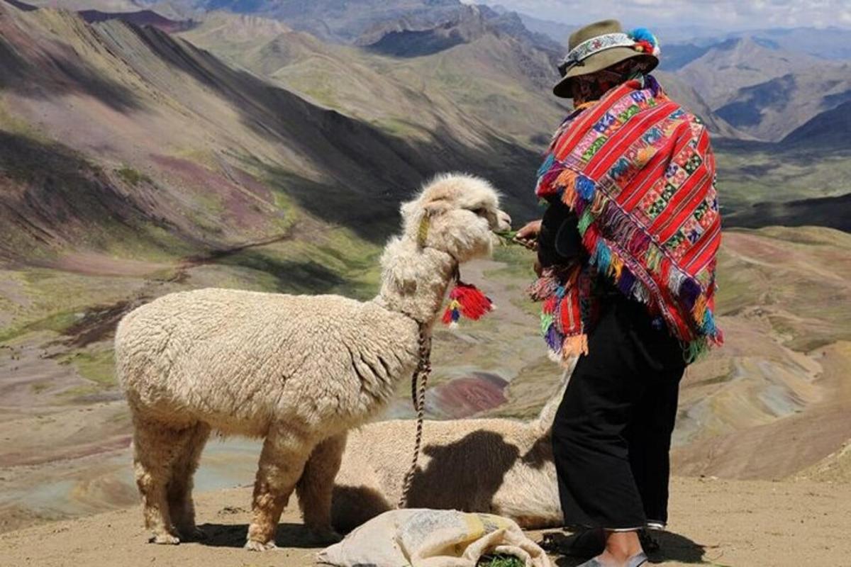 o femeie care stă lângă o lamă pe un munte