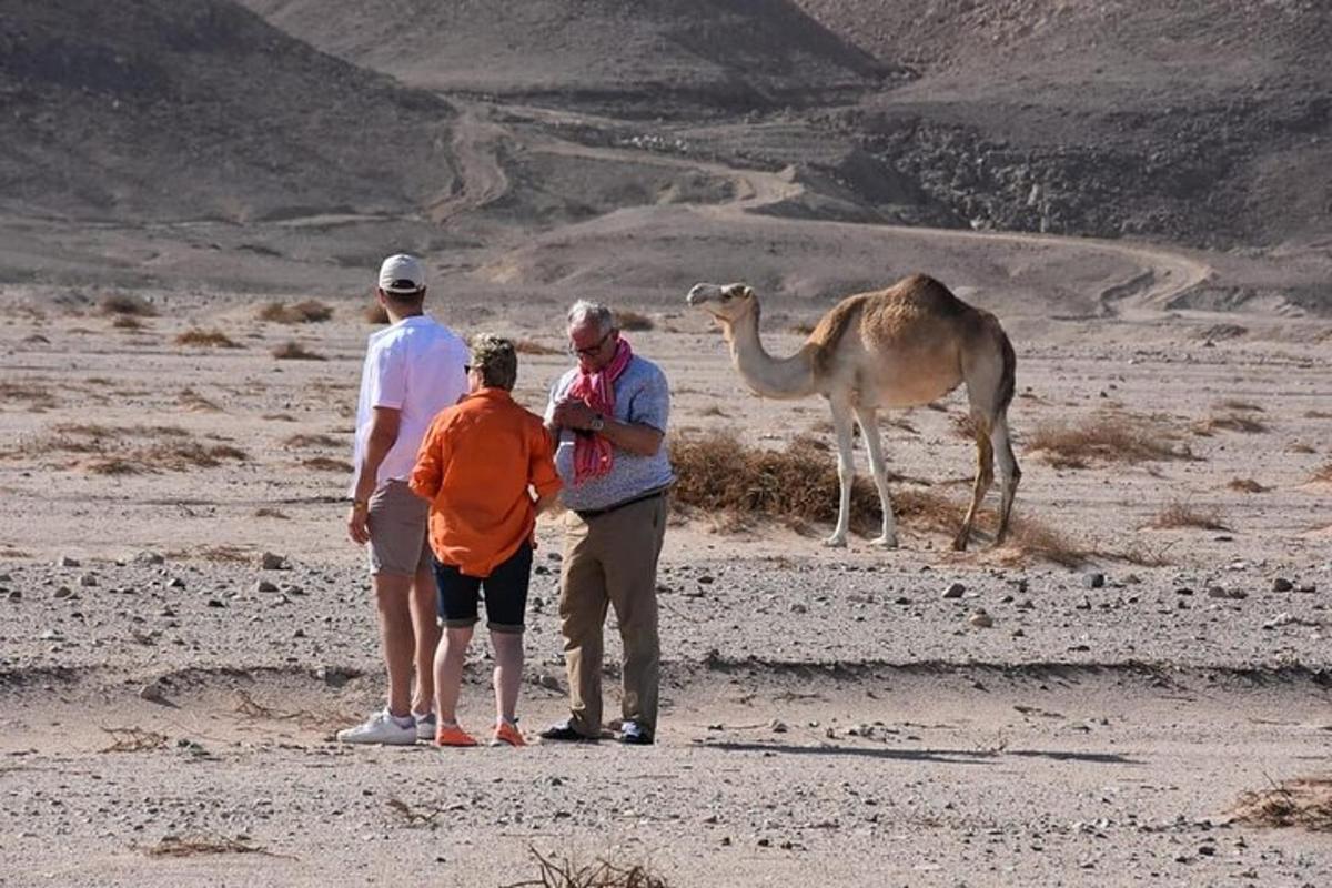 مجموعة من الناس يقفون أمام جمل