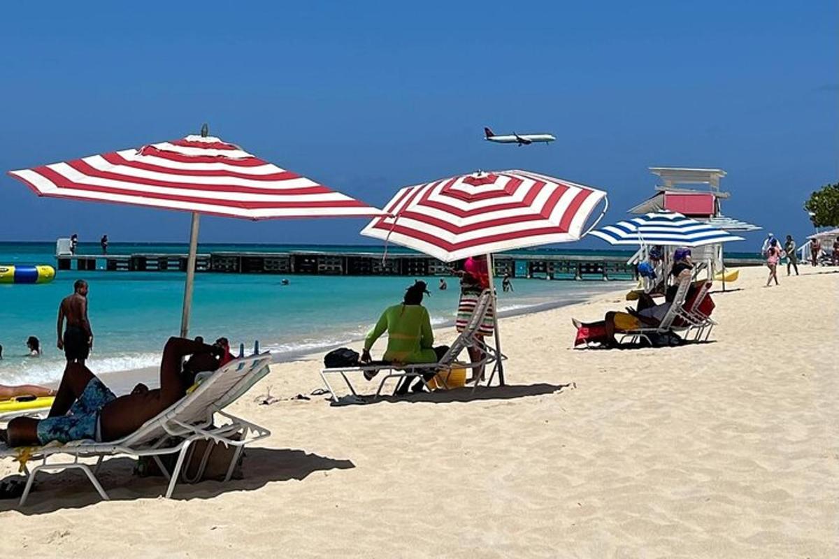 กลุ่มคนนั่งอยู่บนชายหาดใต้ร่มไม้