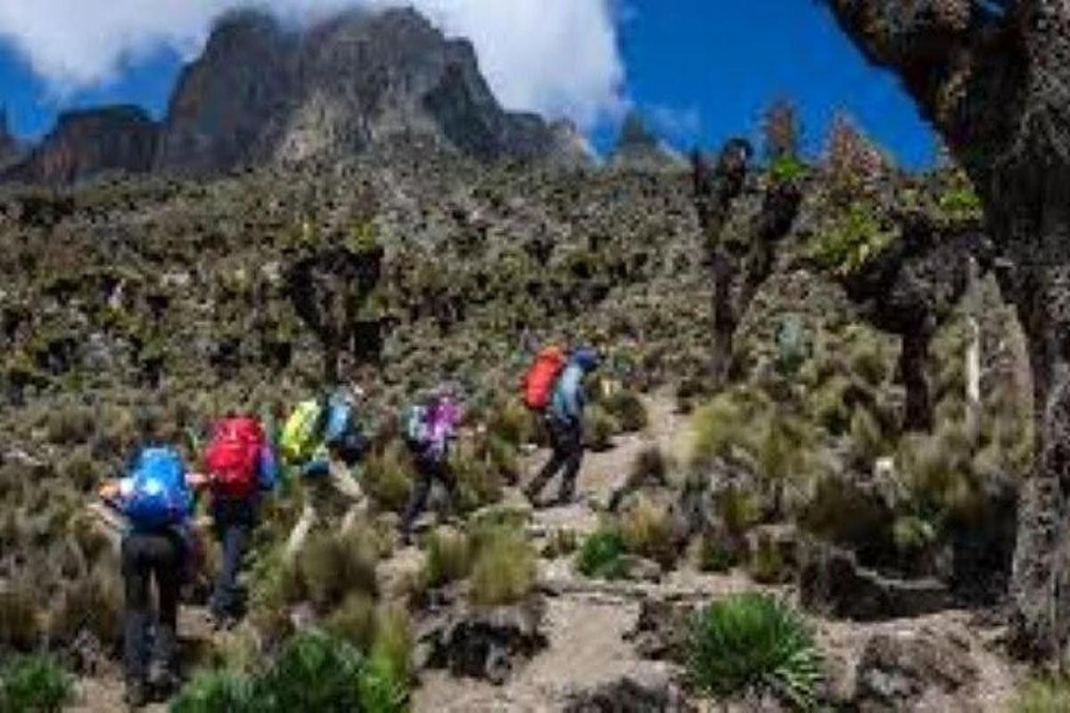 un grupo de personas caminando por un sendero de montaña