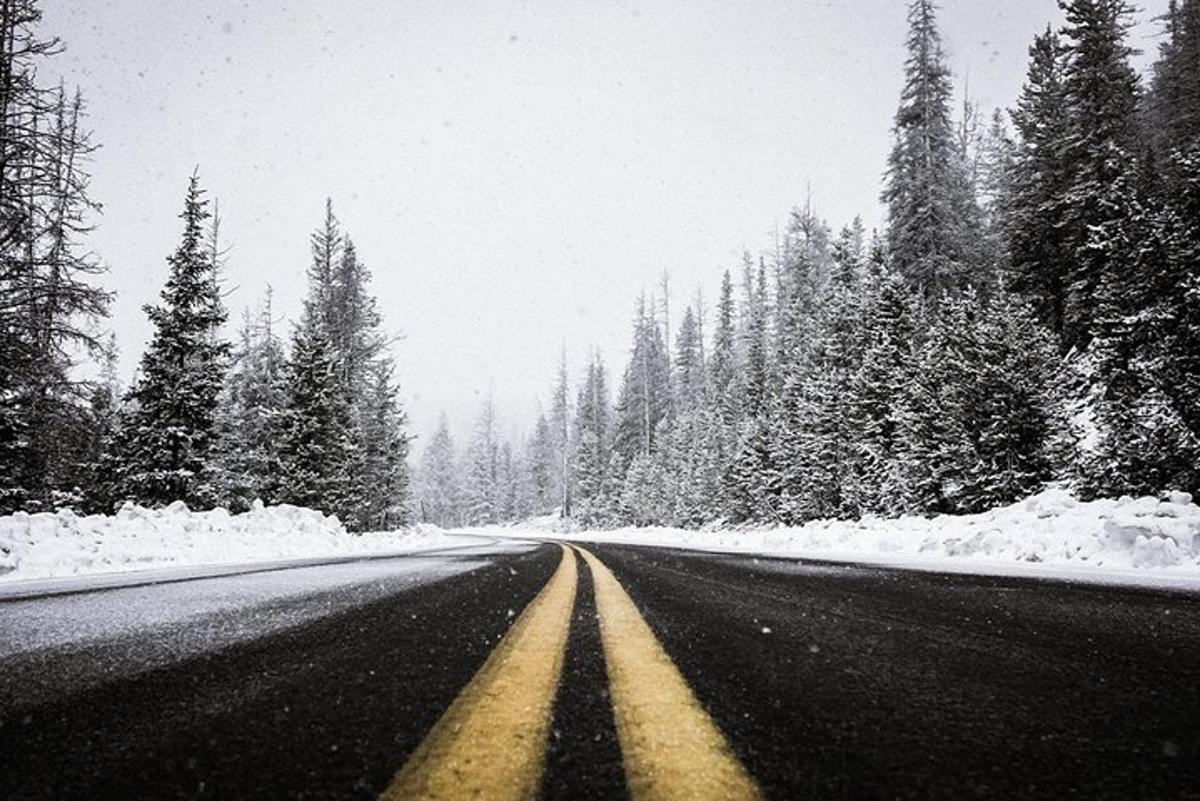 una coperta di neve strada con alberi innevati ai lati