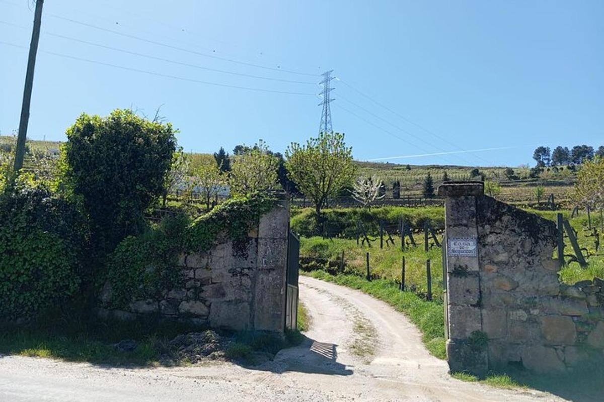 a dirt road with a stone wall next to a field