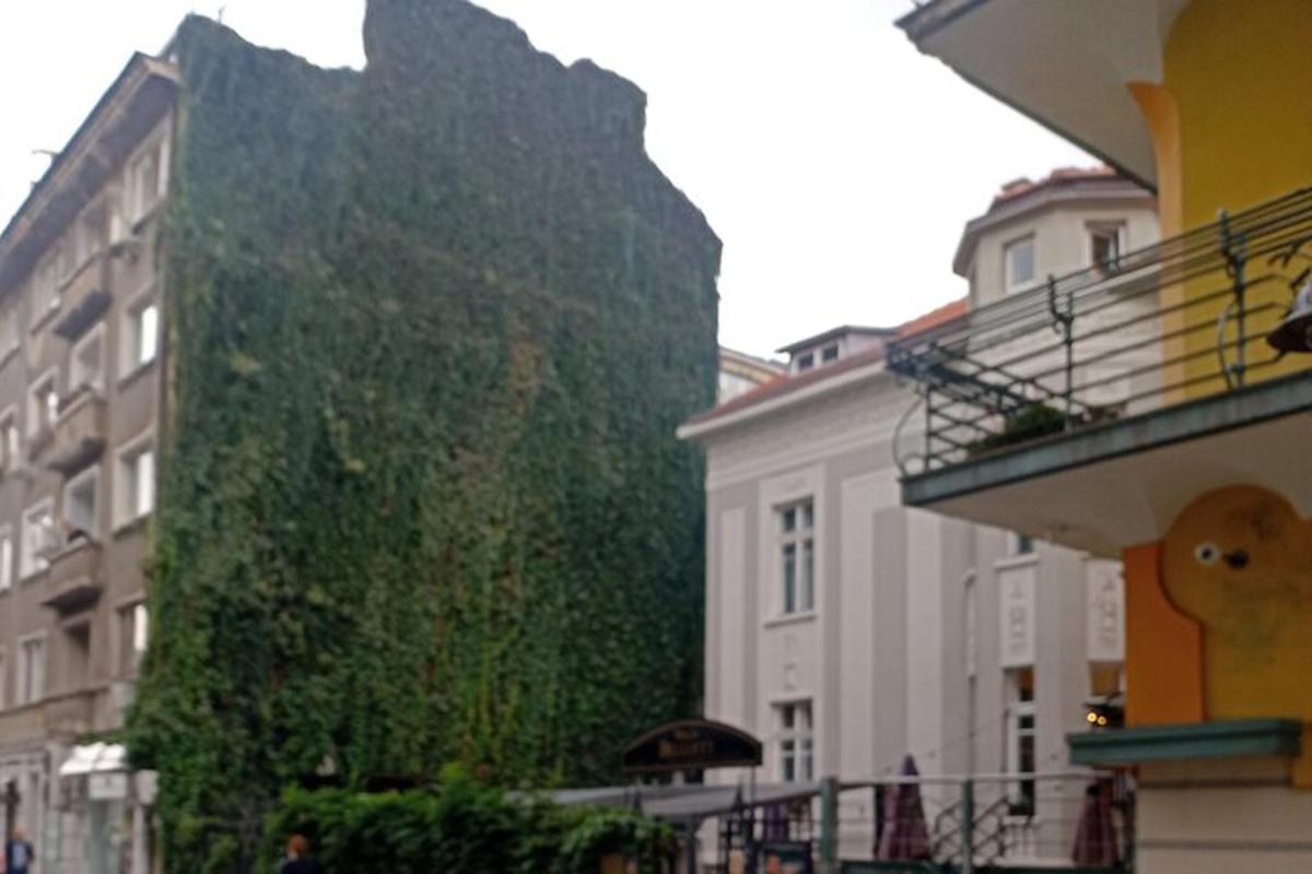 un edifici cobert d'heura en una ciutat amb edificis