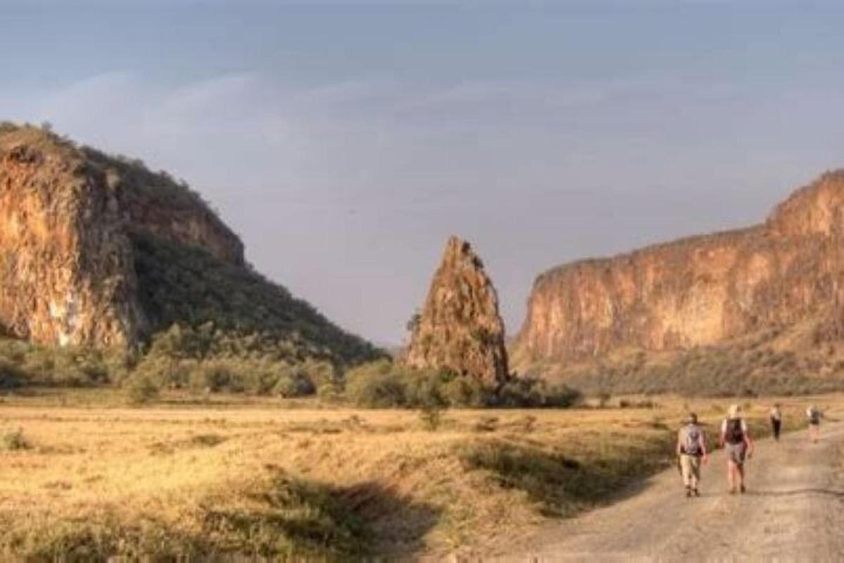 um grupo de pessoas caminhando por uma estrada de terra