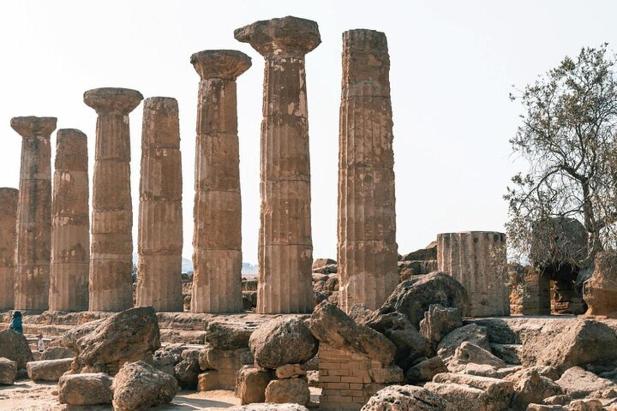 a group of columns on the ruins of a temple
