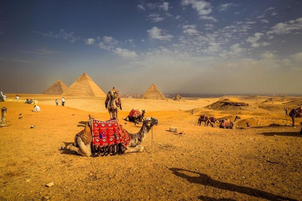 velbloud sedící v poušti s pyramidami v pozadí