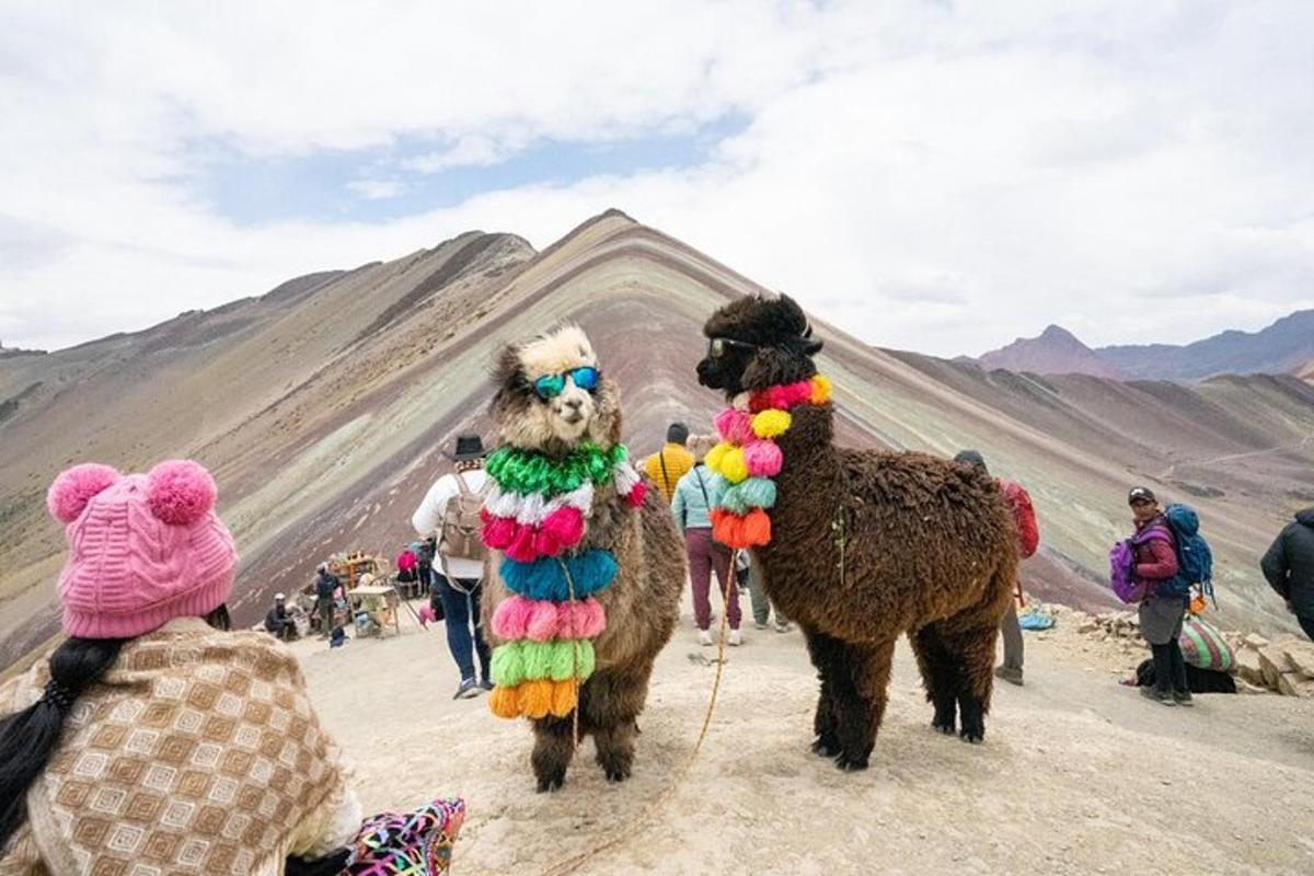 un gruppo di persone vestite con costumi da animali che guardano una piramide