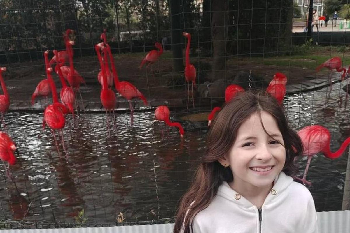 una ragazza in piedi davanti a un gruppo di fenicotteri rossi