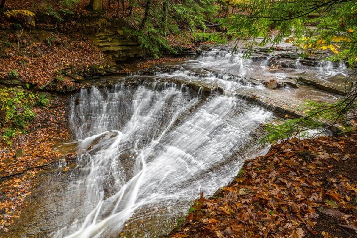 a waterfall in the middle of a forest