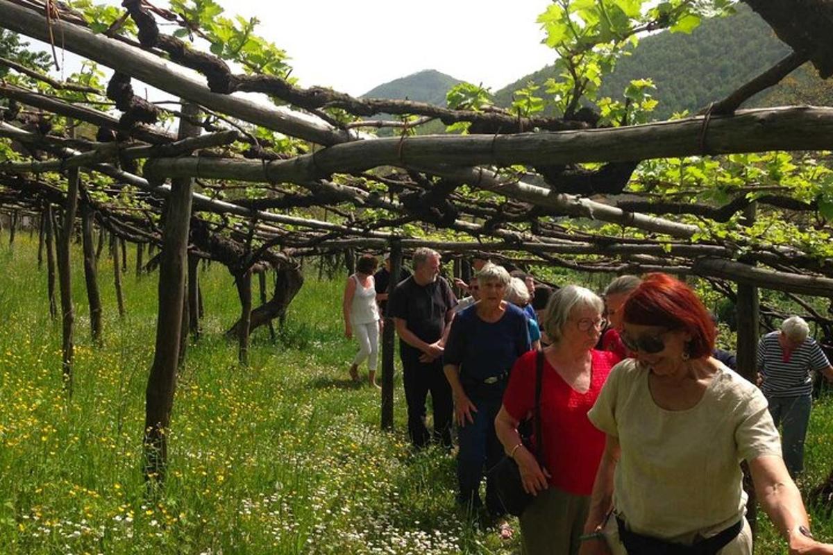 un grup de persones caminant per un camp de flors