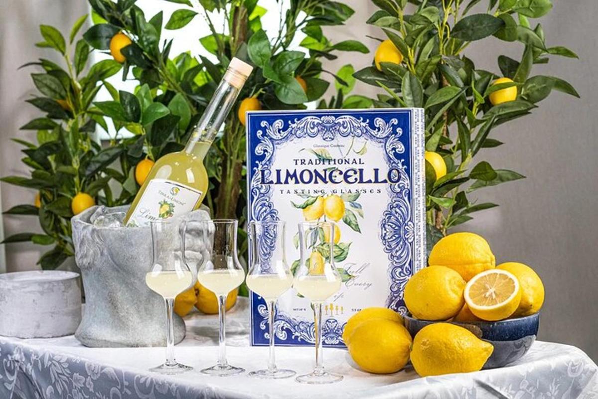 miza s kozarci in steklenico vina ter limonami
