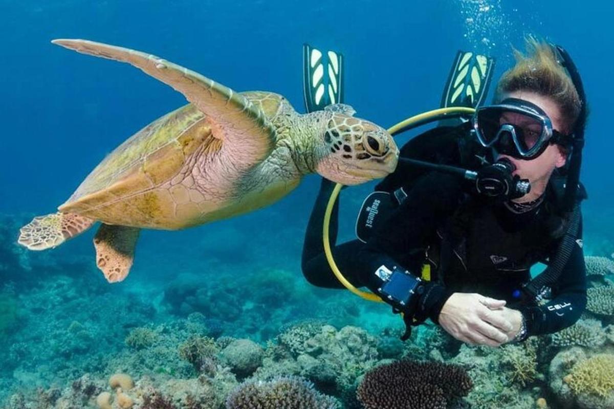 um homem tirando uma foto de uma tartaruga debaixo d'água