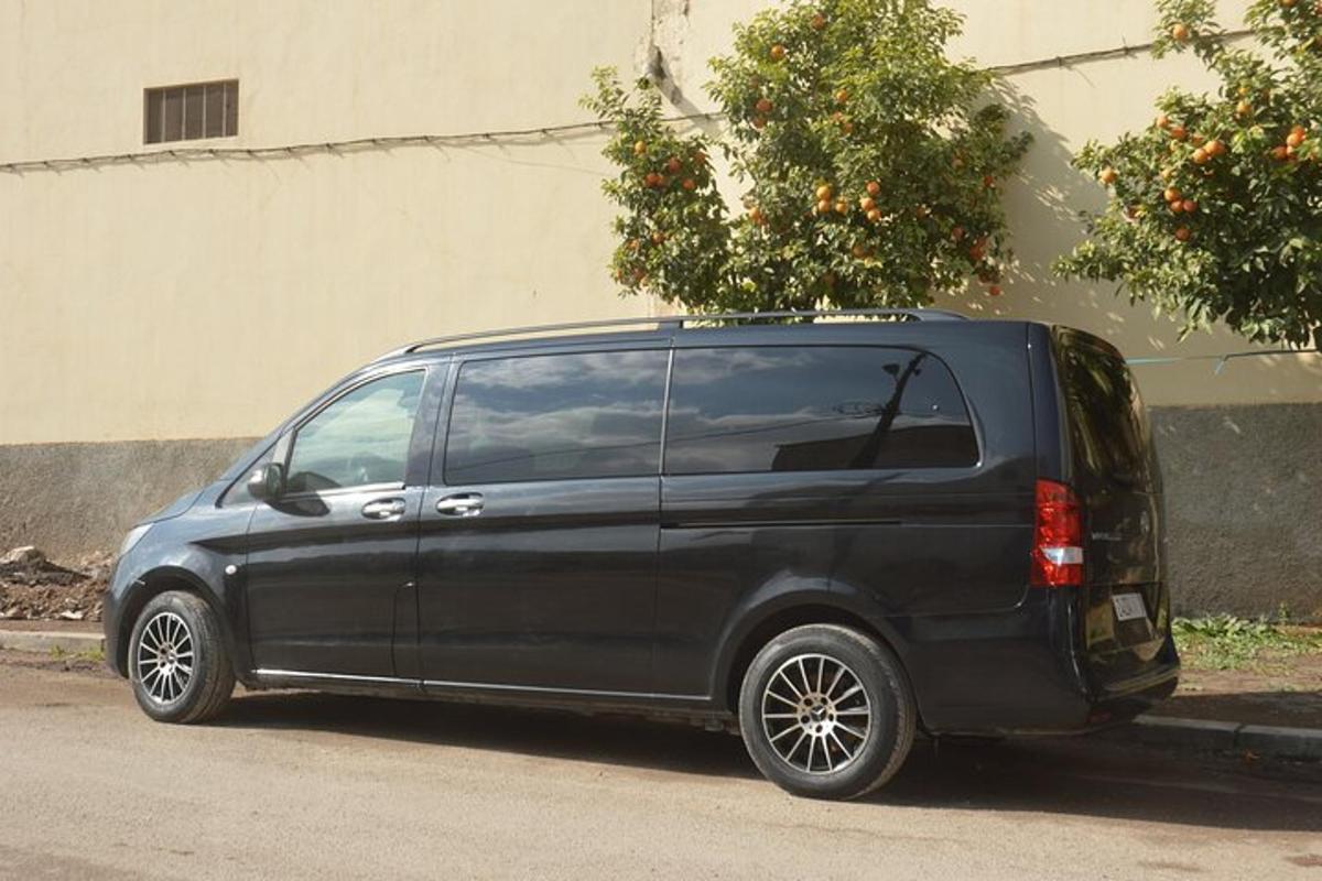 a black van with a tree on top of it