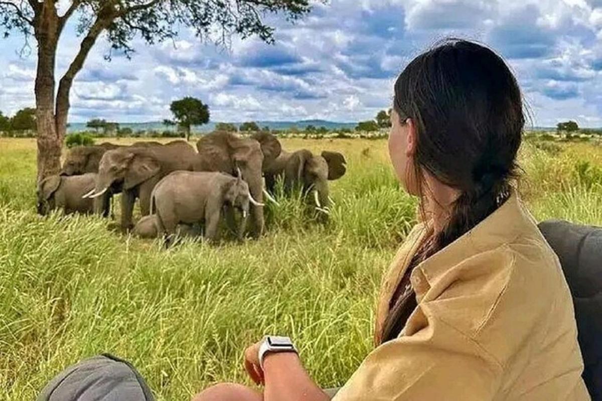 Una mujer sentada en un sofá mirando una manada de elefantes.